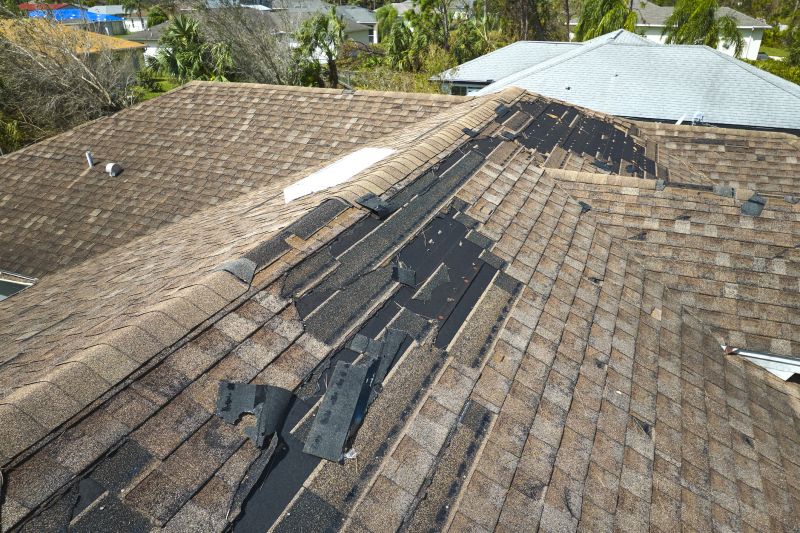 Roof Repair in Progress